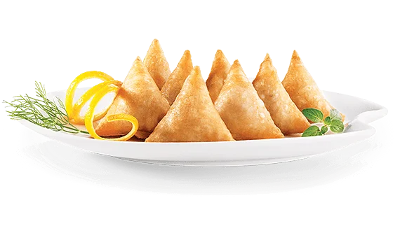 Signature Samosa and Spring Rolls