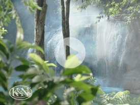 K&N's - Purely Different